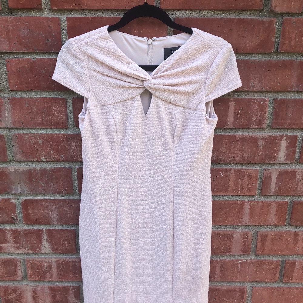 Adrianna Papell Light Pink Evening Dress